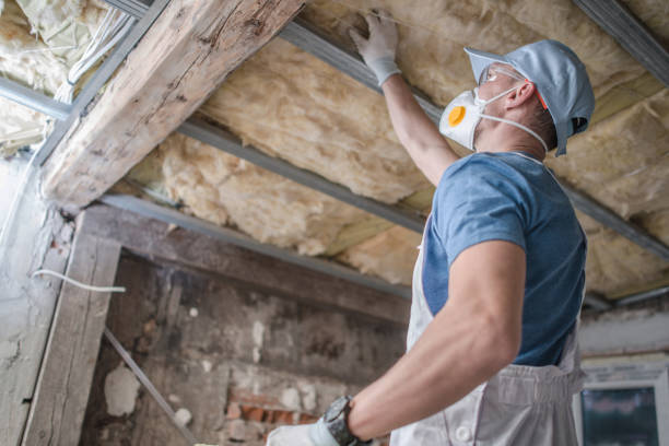 Best DIY Insulation Kits and Guidance in North Charleston, SC