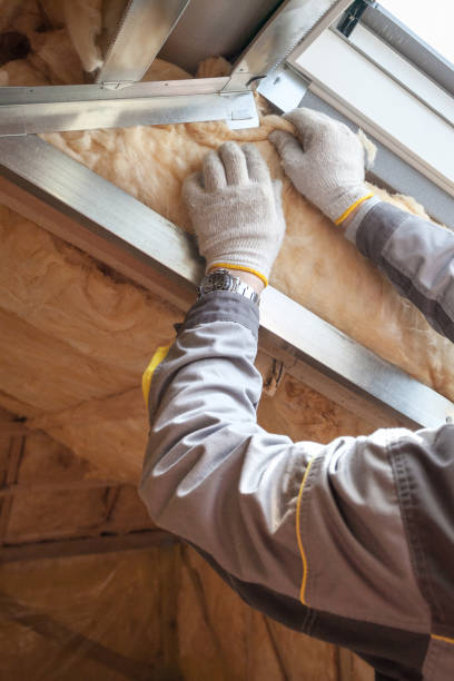 Best Eco-Friendly Insulation in North Charleston, SC
