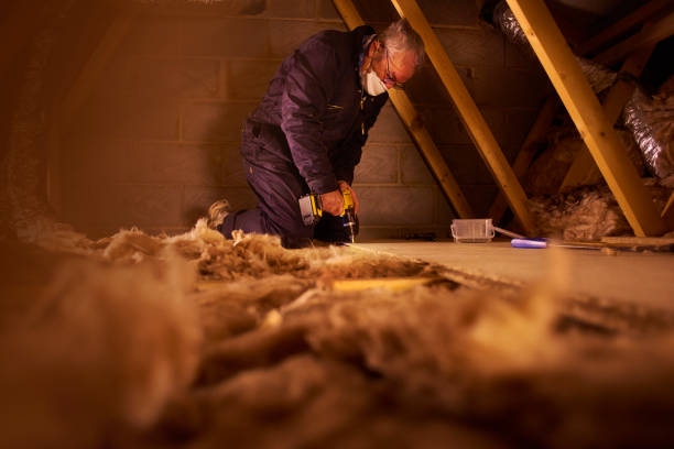 Best Insulation Maintenance and Repair in North Charleston, SC